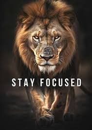 Stay Focused Lion